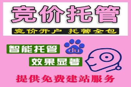 探索SEM竞价优化的新趋势：经典案例解读